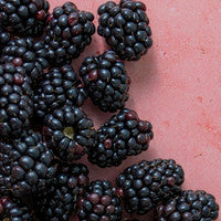 Black Berry