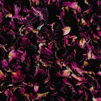 Bulgarian Rose
