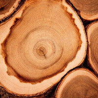 Cedarwood