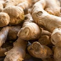 Ginger