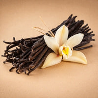 Vanilla