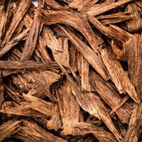 Woody Notes