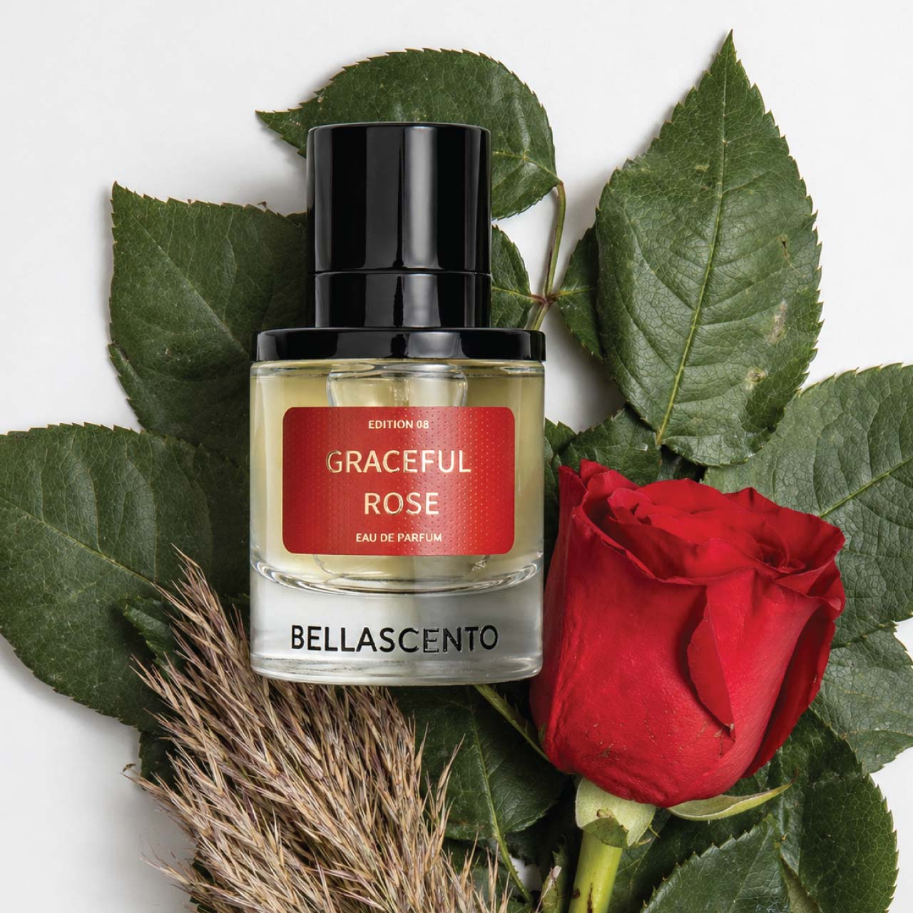 Graceful Rose 50ML - BellaScento Fragrances